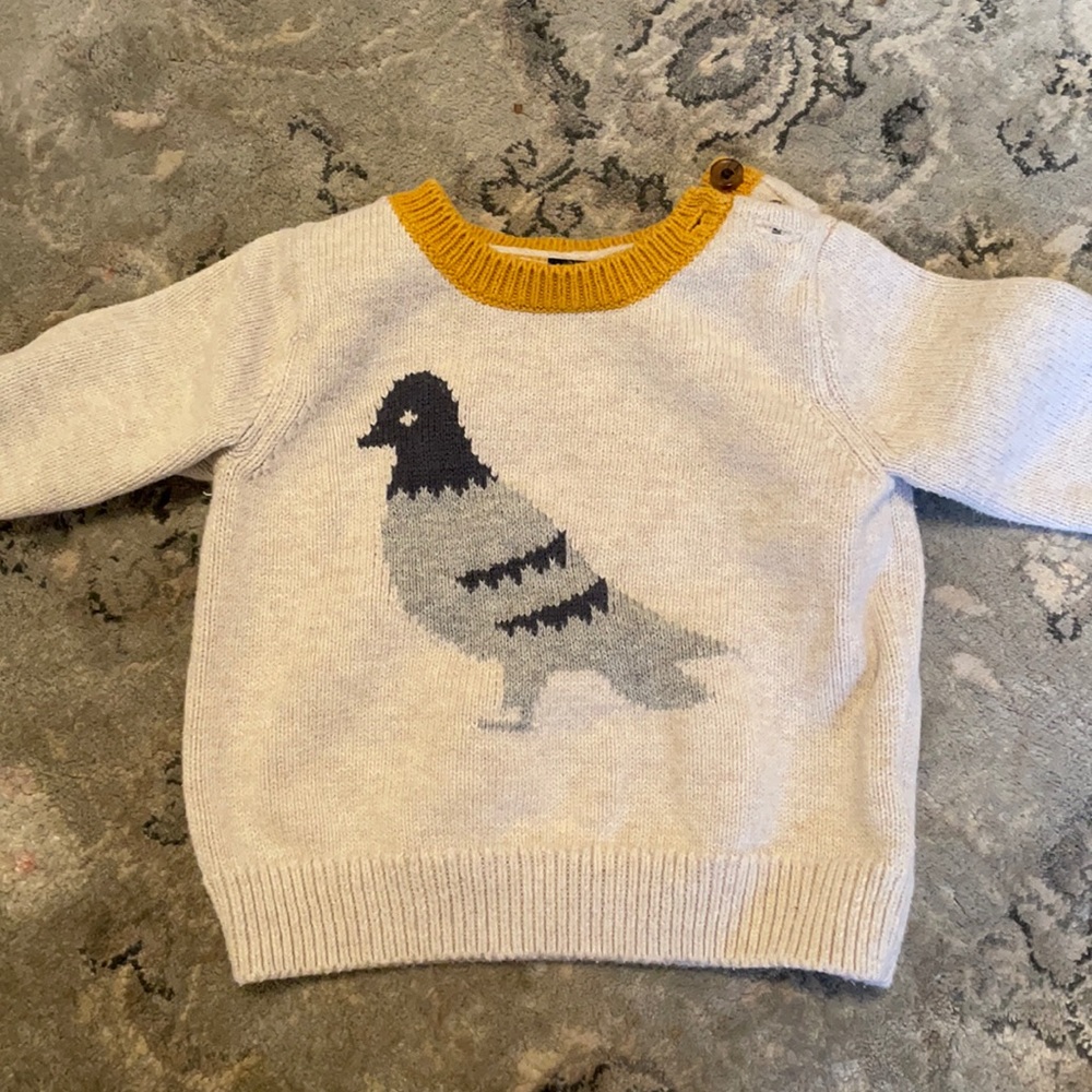 Baby Gap pigeon sweater